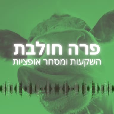 למה אני סוחר כמעט רק ב-SPY עם אופציות