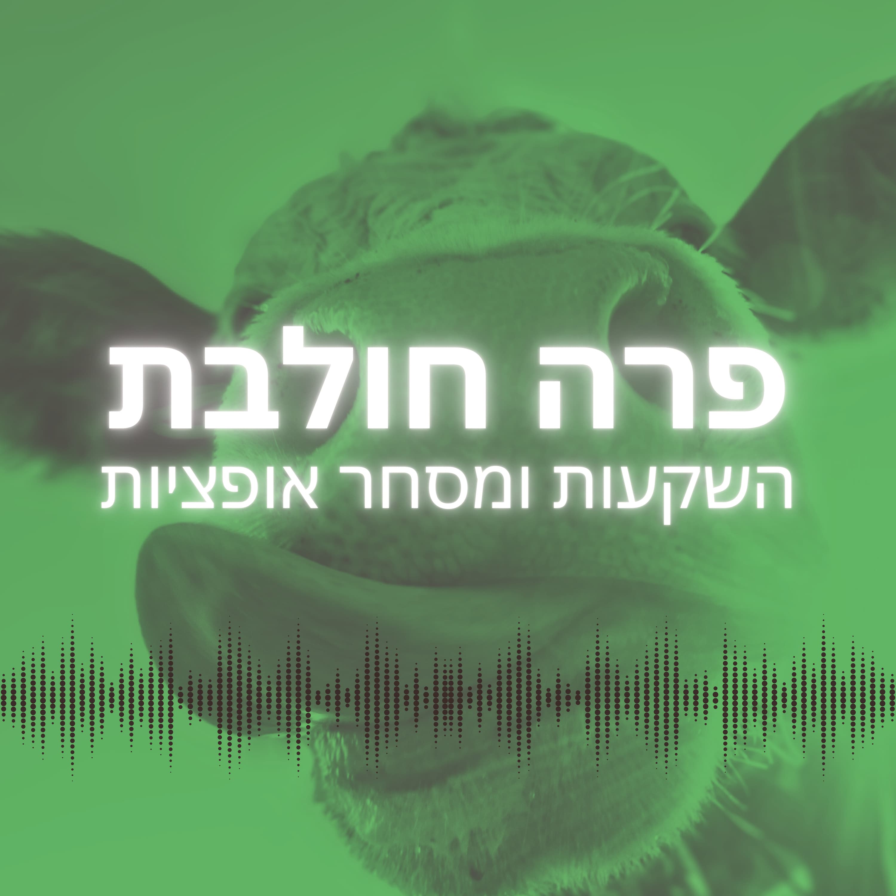 אופציות leaps - איך לקנות מניות בשבריר מחיר