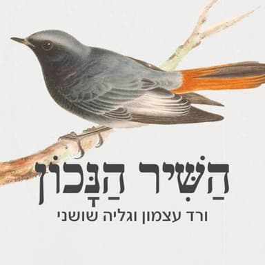 פרק 92 - שיר, יונה וולך