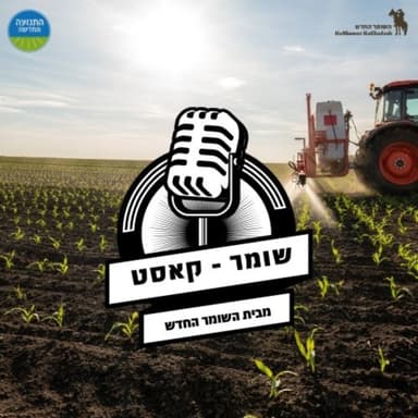 פרק 8: עו"ד רותם אבידר צאליק