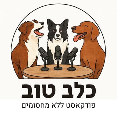 פרק 4 - בעיות התנהגות