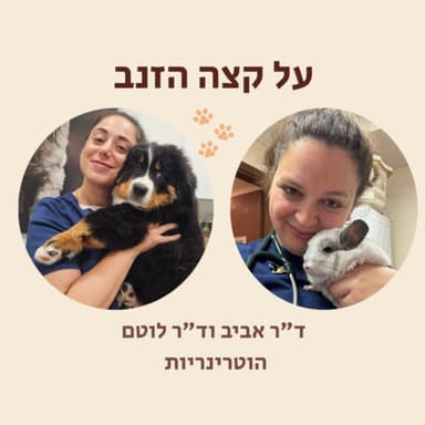 פרק 6 - הכלב והחתול הזקנים: החיים בגיל השלישי של חיות המחמד