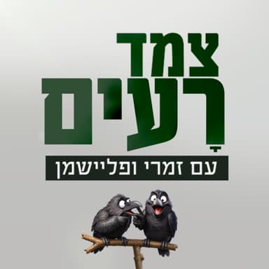 שאולים שאלות על בגידה, קונספירציות ונגינה בחליל | צמד רעים פרק 12