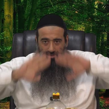 שיעור 24 - סוד הנפש החשה | הרב מאיר מועלם