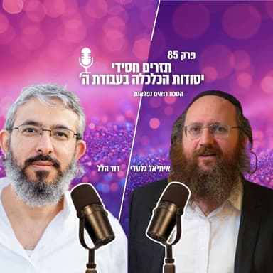 תזרים חסידי: יסודות הכלכלה בעבודת ה' | הסכת רואים נפלאות | פרק 85