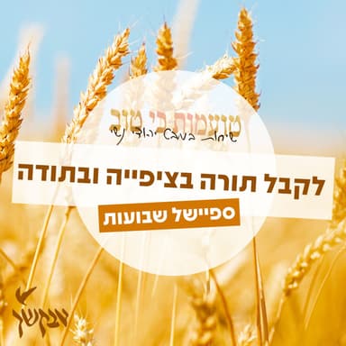 ספיישל שבועות: לקבל תורה בציפייה ובתודה