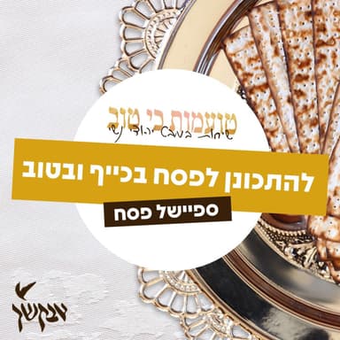 ספיישל פסח: להתכונן לפסח בכייף ובטוב
