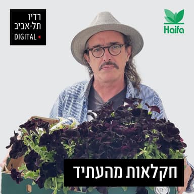 בינלאומי