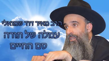 הרב מאיר דוד שמואלי - עמלה של תורה סם החיים