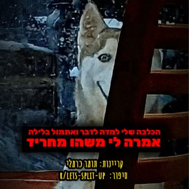 לימדתי את הכלבה שלי לדבר ומה שהיא אמרה החריד אותי | קריפיפסטה