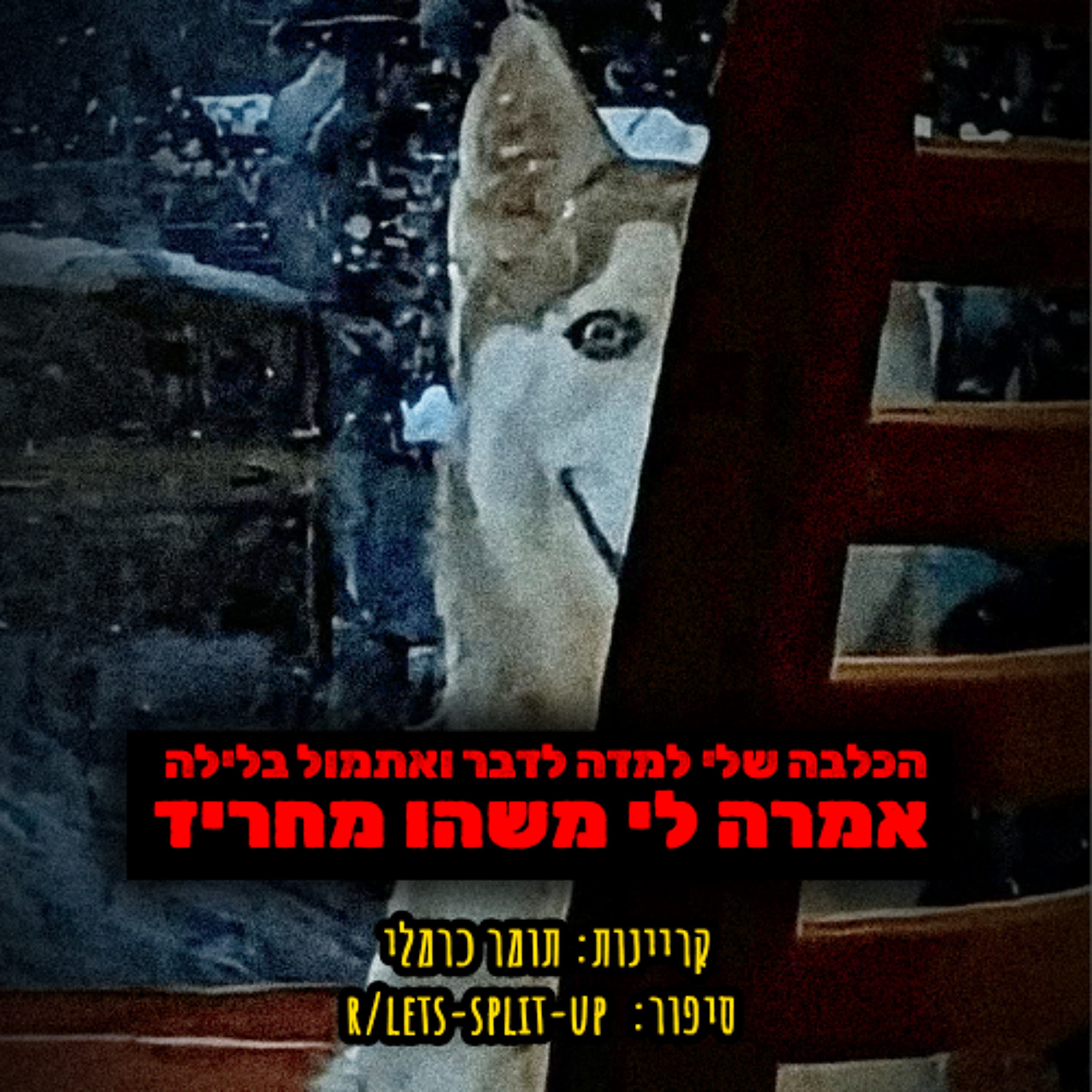 לימדתי את הכלבה שלי לדבר ומה שהיא אמרה החריד אותי | קריפיפסטה