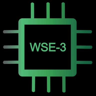 E95 - The Biggest Chip (Adi Fuchs)