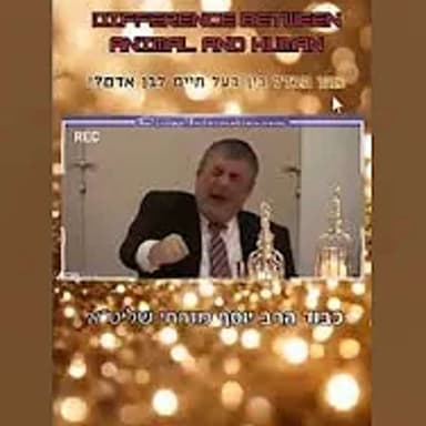 הרב יוסף מזרחי | מה ההבדל בין בעל חיים לבן אדם? #יהדות #תורה