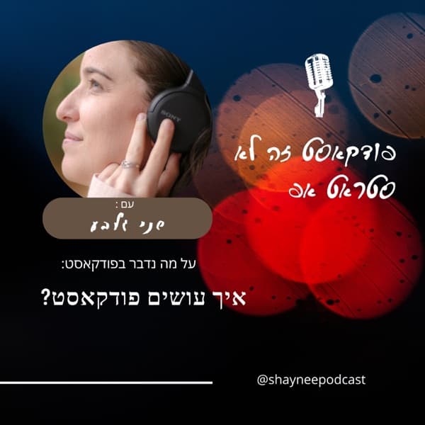 פודקאסט זה לא סטארטאפ עם שני גלבע
