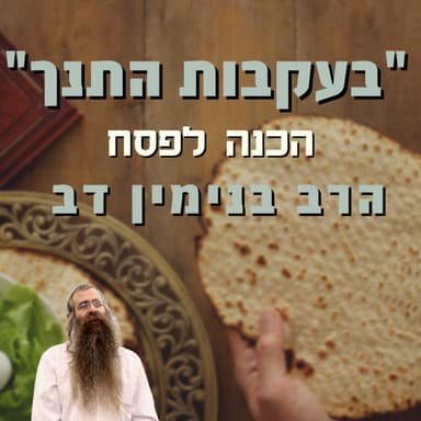"לדבר בארבע שפות במקביל!"- הרב בנימין דב רוזנצוויג | הכנה לפסח | ישיבת א"ש קודש