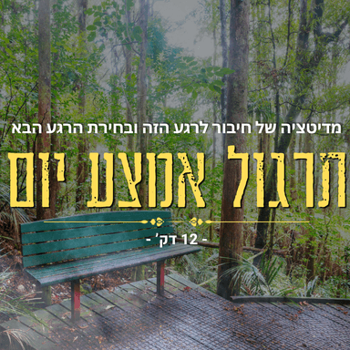 מדיטציה לקרקוע וחיבור באמצע היום - 12 דק'