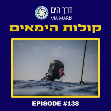 תום פלד - צלילה חופשית