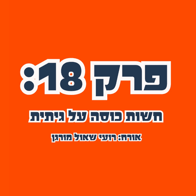 ״סליחה שבאתי״ פרק 18: חשות כוסה על גיתית עם אורח מיוחד: רועי שאול מורגן