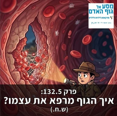 עונה 6, פרק 132.5 - איך הגוף מרפא את עצמו (ש.ח)
