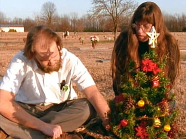 Paradise - Lost