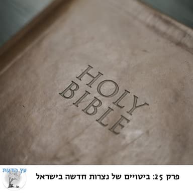 פרק 25: ביטויים של נצרות חדשה בישראל