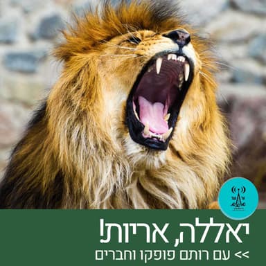 יאללה, אריות! 10.2.26