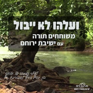 פרק 3: לימוד עיון מול לימוד הלכה | הרב שמואל אריאל והרב עידו הבר