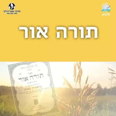 פרשת אמור - והניף הכהן