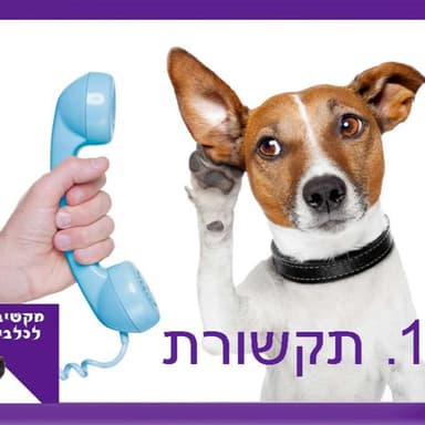 S1:E17 - תקשורת כלבית עם משה שרייבמן