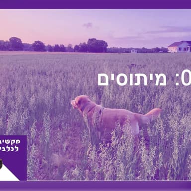 S1:E2 - מיתוסים