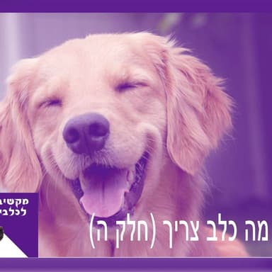 S1:E7 - מה כלב צריך - חלק ה