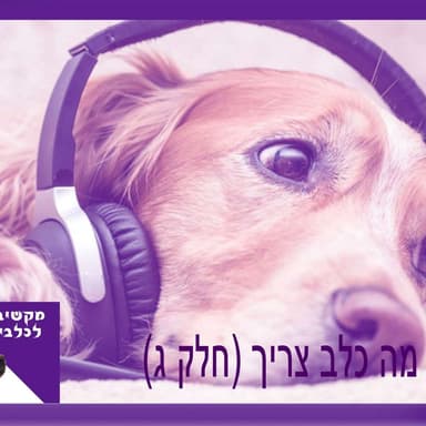 S1:E5 - מה כלב צריך - חלק ג
