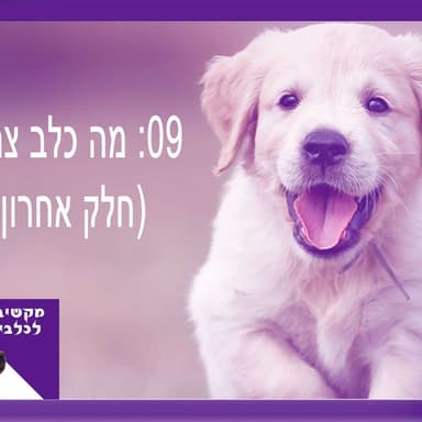 S1:E9 - מה כלב צריך - חלק אחרון