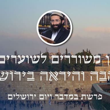 פרשת במדבר ויום ירושלים • בין משוררים לשוערים - האהבה והיראה בירושלים