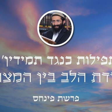 פרשת פינחס • 'תפילות כנגד תמידין' - עבודת הלב בין המצרים
